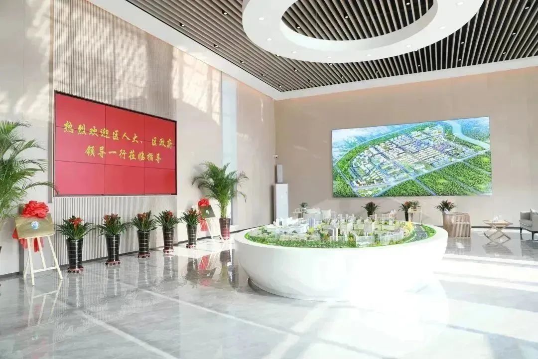 龍港區(qū)人大、區(qū)政府領(lǐng)導(dǎo)一行視察調(diào)研龍港國際醫(yī)療健康產(chǎn)業(yè)園(圖2)